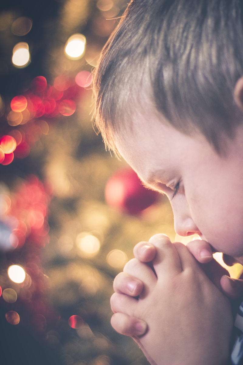 looking, headshot, pray, innocence, celebration, tree, real people, child, little, men, holiday, christmas, praying, lifestyles, christian, boy, close-up