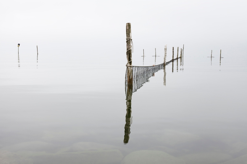 lake, tranquil scene, wooden post, day, fog, beauty in nature, post, non-urban scene, nature, stick - plant part, tranquility, sky, waterfront, scenics - nature