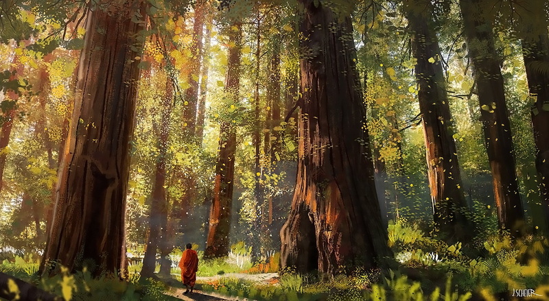 1080P, Peace, Fantasy, Tree, Forest, Monk