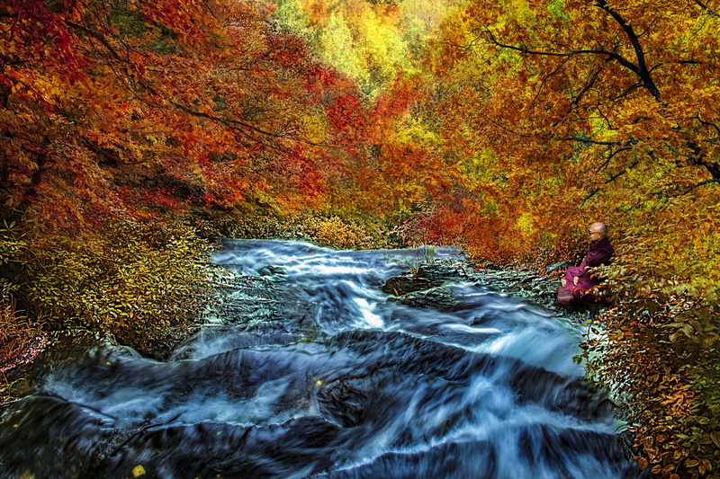 nature, tranquil, no people, flowing water, stream, power in nature, orange color, seasonal, rock - object, scenics - nature, waterfall, 5K, season, river