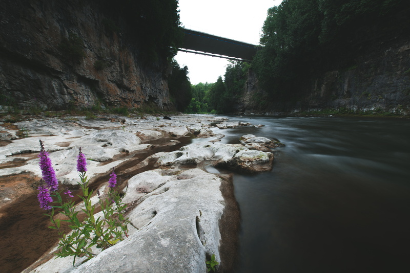 rock, water, nature, rock - object, solid, gorge, built structure, elora, day, river, rock formation, grand river, building exterior, elora gorge, scenics - nature