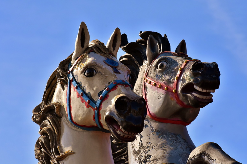 hustle and bustle, pleasure, animal, 5K, clear sky, art and craft, sculpture, livestock, fair, architecture, animal head, animal wildlife, day, festival site