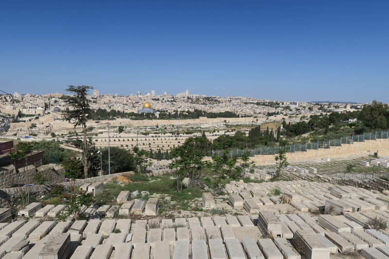 tree, jerusalem, outdoors, building, architecture, panoramic, cityscape, building exterior, on, travel destinations, cemetery, church, nature, built structure