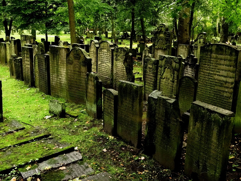 wood - material, outdoors, green Color, large group of objects, history, tombstone, land, no People, in a row, plant, the past, grave stones, stone, day