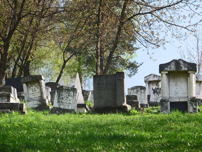 2K, city, grave stones, capital, tree, historic, green color, outdoors, tree trunk, europe, eastern europe, history, building exterior, growth, tranquility