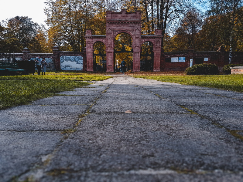 transportation, building exterior, tree, day, outdoors, poland, the way forward, lodz, arch, diminishing perspective, road, jewish, 4K, park, nature, travel destinations