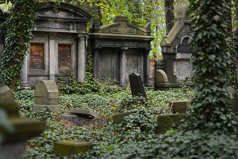 built structure, green, no people, poland, cemetery, history, ivy, tombstone, outdoors, dark, grave, historic, gray, photo, solid, stone material, old