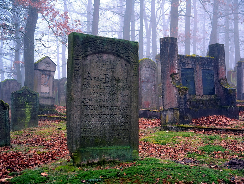 forest, plant, the past, nature, memorial, jewish, lined, religion, architecture, outdoors, 4K, spirituality, no people, cemetery, grave, history, stone