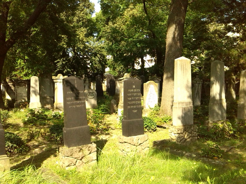 outdoors, graves, grave stones, architecture, grass, growth, sunlight, magdeburg, plant, 2K, day, nature, tree, grave, jewish cemetery, sadness, government