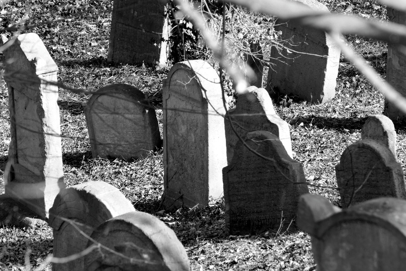 jewish, remind, no people, outdoors, historical, day, religion, 5K, stone material, tombstone, plant, sunlight, thoughtful, hebrew, stone, cross, nature