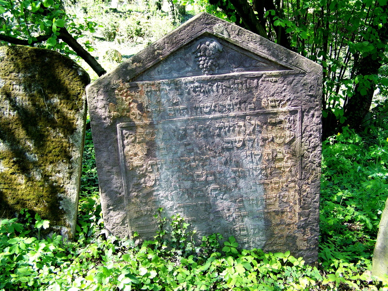 growth, tree, czech republic, kolin, tombstone, field, stone, traditional, jewish, day, symbol, gravestone, ancient, graveyard, 2K, wall - building feature