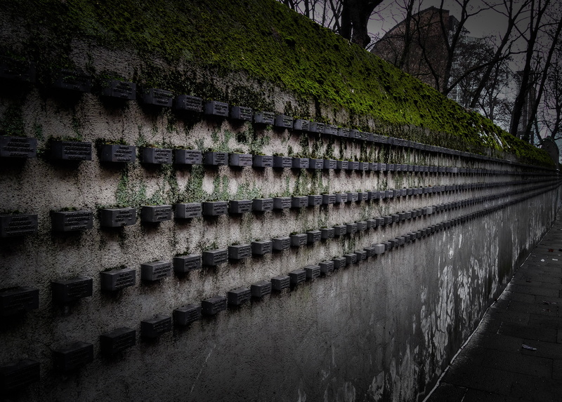 wall - building feature, 4K, nature, judaism, monument, reflection, jews, day, architecture, holocaust, tree, outdoors, tranquility, memory, built structure