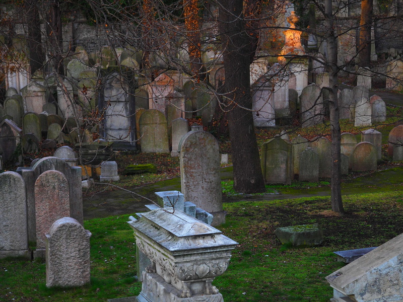 hebrew, historical, spirituality, tree, jewish, plant, no people, old, sadness, grave, jew, religious, history, architecture, memorial, cemetery, solid
