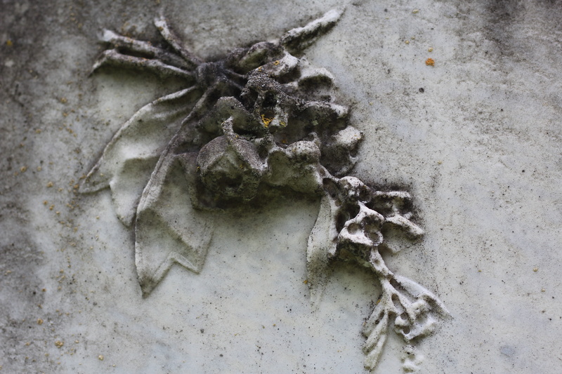 rock carving, skeleton, resting place, tombstone, nature, 5K, bone, jewish cemetery, animal bone, one animal, land, animal body part, outdoors, ornament