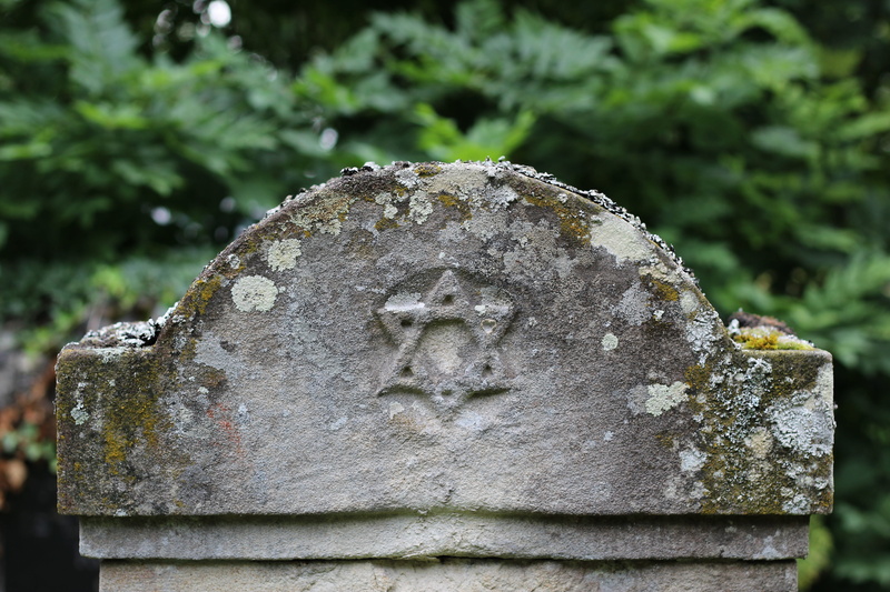 text, resting place, lichen, plant, stone material, stone, tombstone, jewish cemetery, outdoors, focus on foreground, memorial, nature, 5K, tree, old cemetery