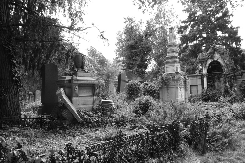 land, field, outdoors, old, 4K, broken tombs, damaged, plant, run-down, growth, black and white image, building exterior, obsolete, day, architecture
