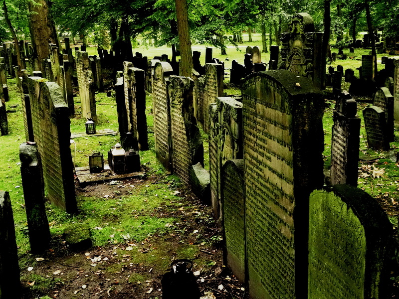 memorial, solid, 5K, spirituality, day, tree, grave, commemorate, cemetery, hamburg, history, plant, architecture, nature, tombstone, the past, no people