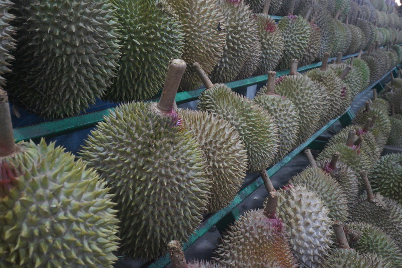 food and drink, no people, abundance, durian fruit, plant, day, king of fruits, nature, spiked, green color, retail, thorn, fruit, outdoors, thorny fruit