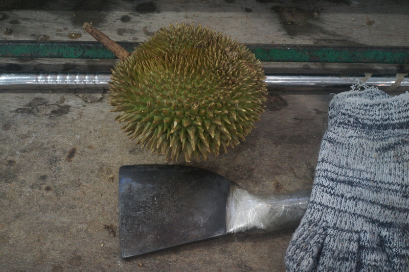 nature, growth, tropical, high angle view, durian chopper, fruit, green color, table, food and drink, healthy eating, freshness, indoors, close-up, still life