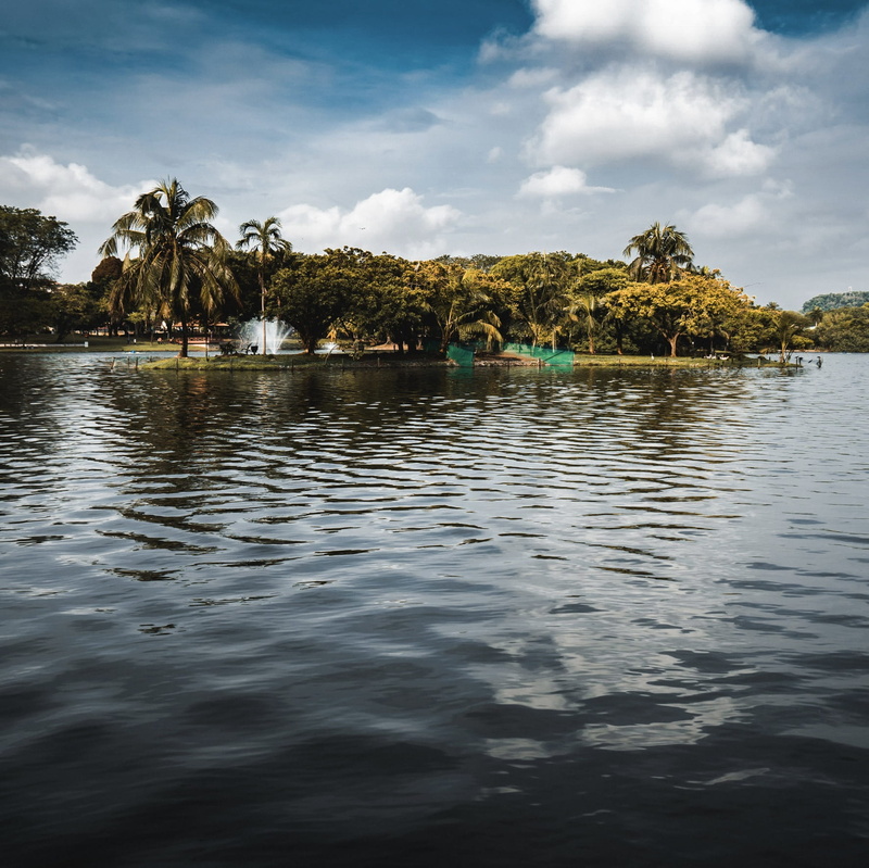 malaysia, waterfront, park, taman tasik shah alam, small island, lake, day, no people, cloud - sky, tranquility, sky, palm tree, nature, reflection, plant