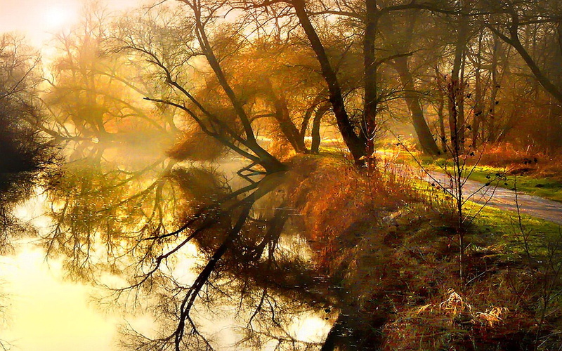 grandeur, 720P, trees, mist, autumn, road, river