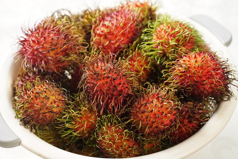 no people, wellbeing, healthy eating, spiked, indonesian, group of objects, fruit, hairy fruit, bowl, food and drink, high angle view, 4K, rambutan fruits
