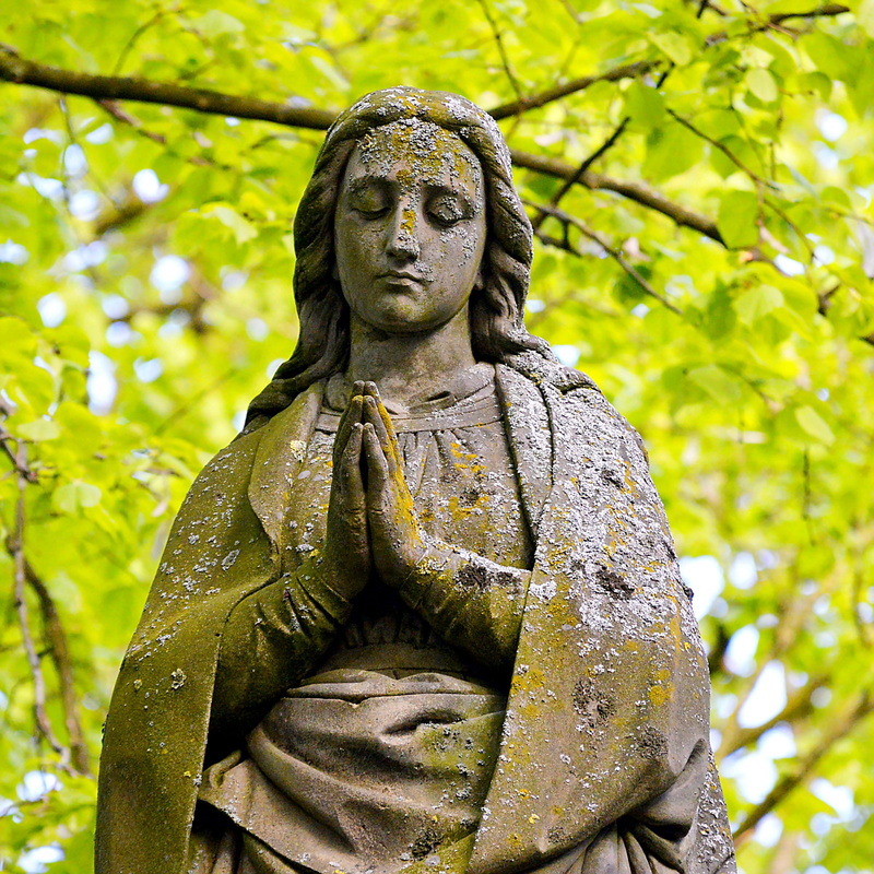 christian, no people, architecture, tree, hairstyle, stonemasonry, maria, mother of god, leaves, Statue, religion, figures, santa maria, plant, trees, nature