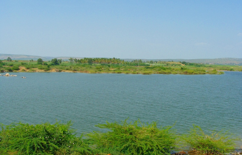 bagalkot, clear sky, copy space, plant, tree, india, growth, non-urban scene, karnataka, water, tranquil scene, day, idyllic, krishna river, scenics - nature