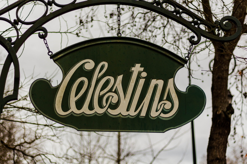 nature, arch, logo, black, close-up, western script, post, branch, c, lestins, water, sign, architecture, outdoors, low angle view, tree, information sign
