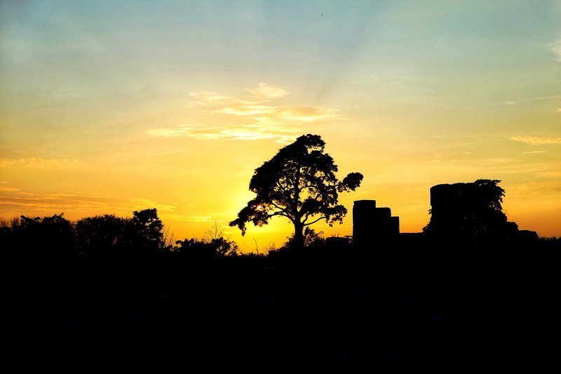 building exterior, sunlight, landscape, nature, campania, paestum, idyllic, flare, outdoors, 5K, growth, sky, light, no people, architecture, dusk, dawn