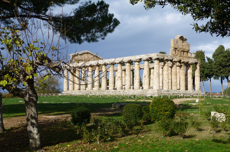 plant, classical, city, pagan, monument, outdoors, old ruin, day, building exterior, columns, tree, travel, sky, the past, paestum, nature, temple, ancient civilization