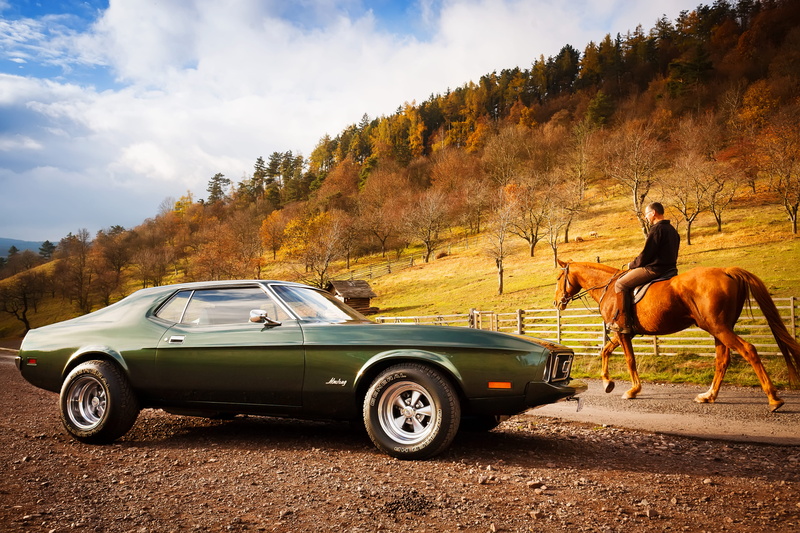 plant, transportation, tree, cloud - sky, livestock, motor vehicle, one animal, domestic animals, classics, muslecars, car, fordmustang, ford, mammal, land vehicle