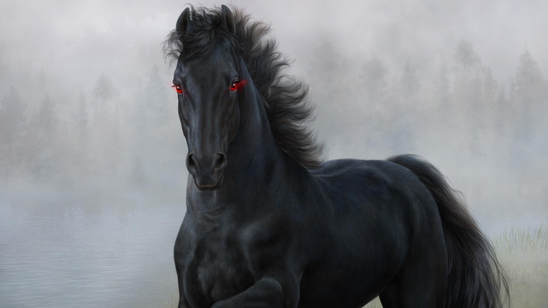day, vertebrate, livestock, mustang, water, snout, domestic animals, red eyes, mammal, animal, animal head, pets, no people, one animal, fantasy art, animal wildlife