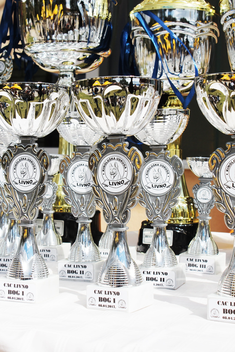 Trophies, no people, choice, bosnia and herzegovina, trophy, variation, transparent, glass - material, glass, arrangement, cup, close-up, retail, exhibition
