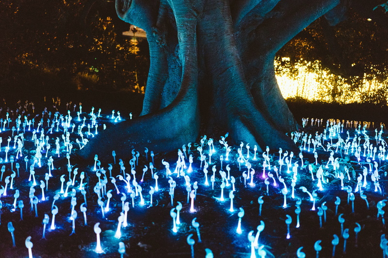 real people, Avatar, performance, large group of people, crowd, tree, outdoors, sculpture, night, arts culture and entertainment, stage, nightlife, festival