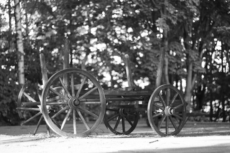 broken, no people, history, architecture, abandoned, tree, wagon wheel, focus on foreground, horse cart, nature, old, 4K, day, field, wheel, cart, transportation