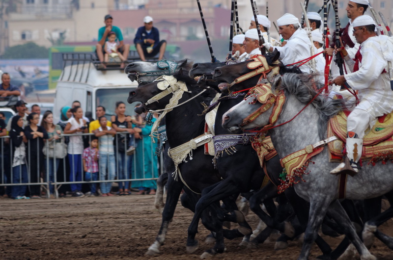 day, group of people, guns, domestic, 4K, two animals, domestic animals, morocco, group of animals, working animal, fantasia, animal themes, outdoors