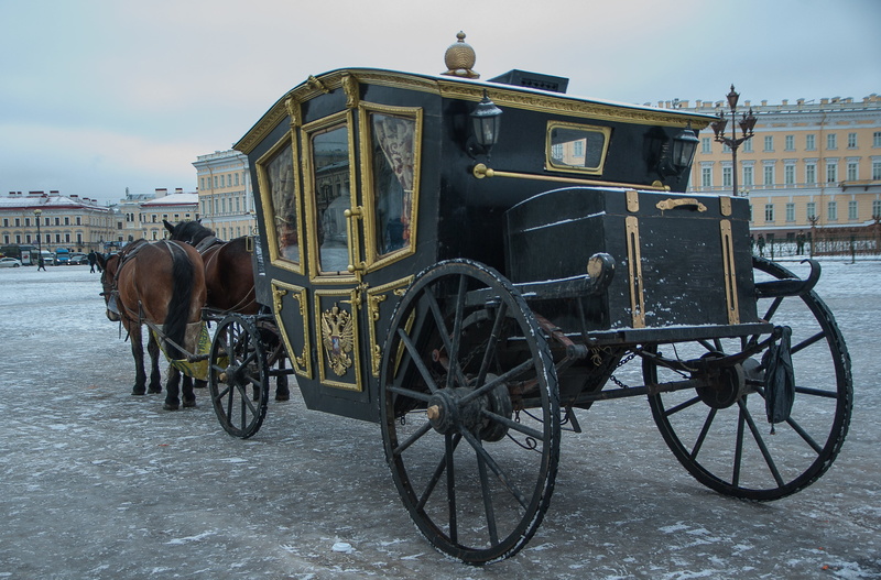 working animal, animal wildlife, black, animal themes, domestic animals, animal, livestock, coach, mammal, outdoors, city, pets, cart, transportation, mode of transportation