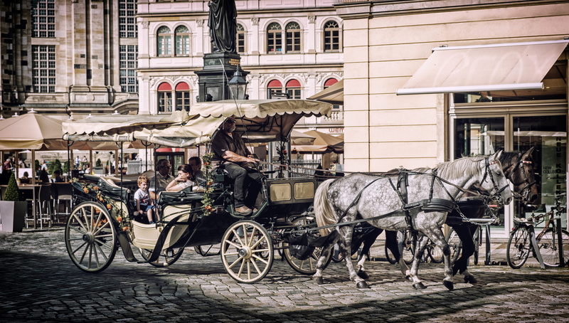 animal themes, coach, 5K, horse drawn carriage, mode of transportation, building exterior, means of transport, historically, animal wildlife, tourism