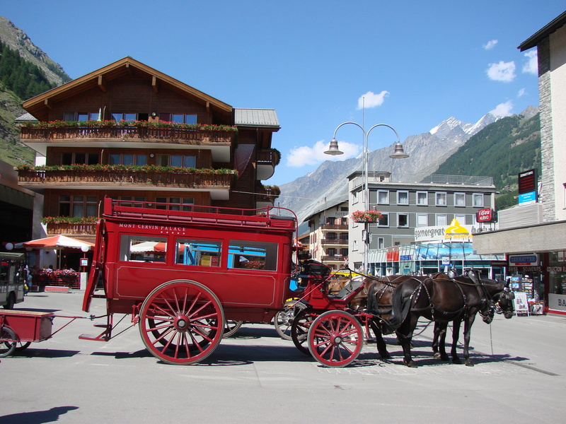 scenery, mammal, europe, landscape, built structure, switzerland, day, red, herbivorous, working animal, pets, animal themes, street, carriage, incidental people