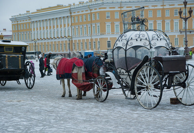 horsedrawn, animal wildlife, architecture, horse, domestic, working animal, no people, city, palace square, building exterior, street, built structure