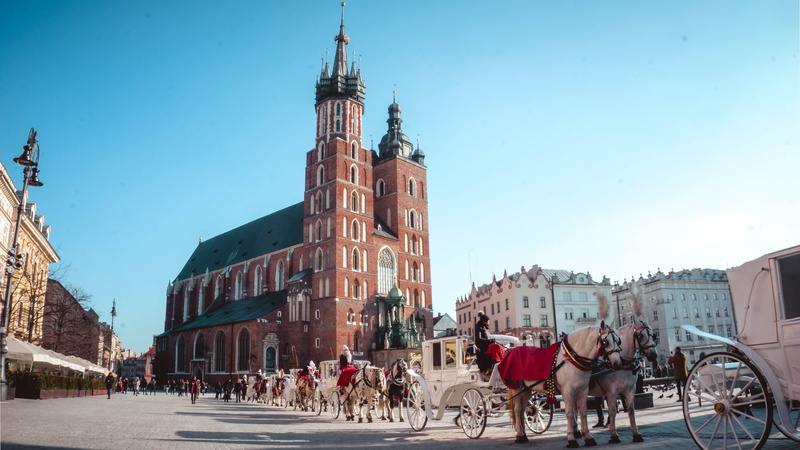 built structure, animal themes, livestock, horse, working animal, building, domestic animals, vertebrate, transportation, pets, building exterior, buildings