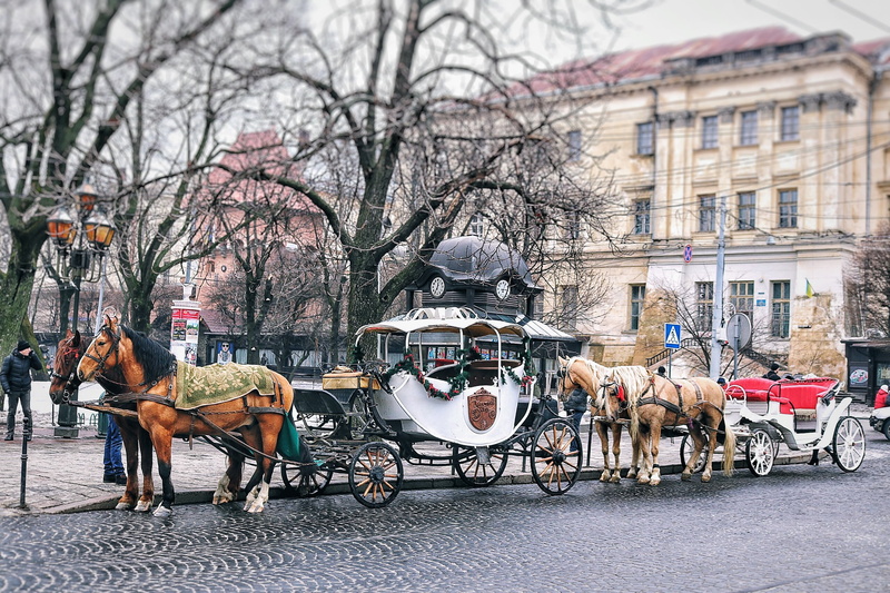 urban Scene, urban, architecture, 2K, domestic animals, city, pavement, animal themes, horsedrawn, bare tree, horse cart, man, livestock, vertebrate, business