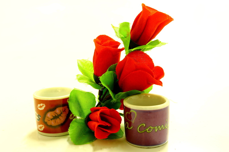 present, container, flowers, mug, valentines day, flowering plant, love, tea cup, cup, arrangement, flower, green color, 4K, food and drink, white background