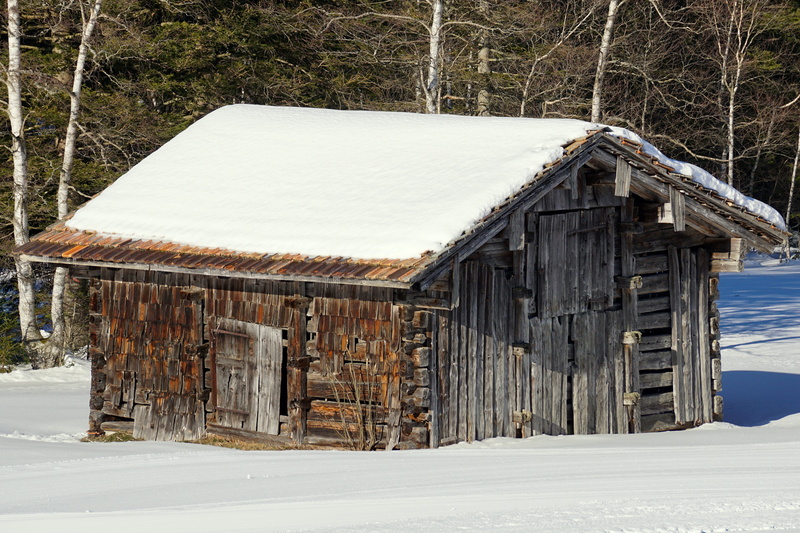 cabin, trees, hispanic, house, landscape, land, built structure, day, white color, shadow play, nature, tree, Winter, rural Scene, architecture, sunlight