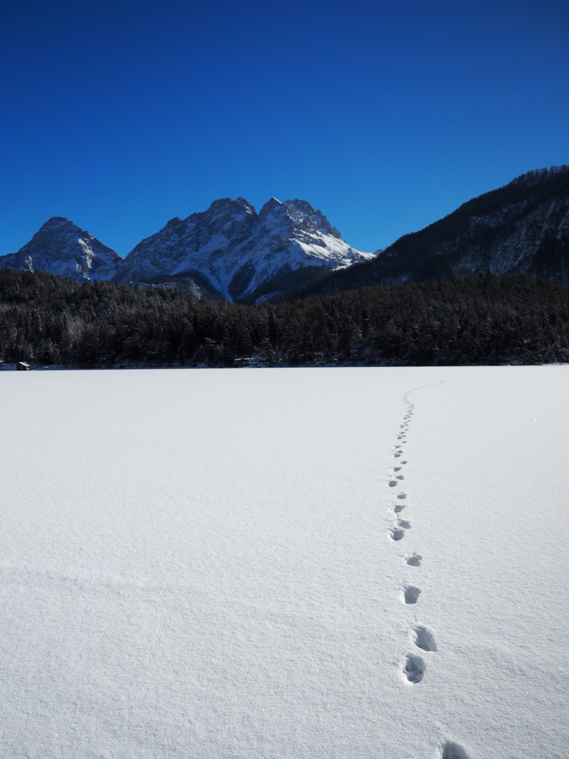 mountain peak, lake, tracks in the snow, deep snow, scenics - nature, snowcapped mountain, blue, rest, no people, park, tranquility, walden, austria, 4K