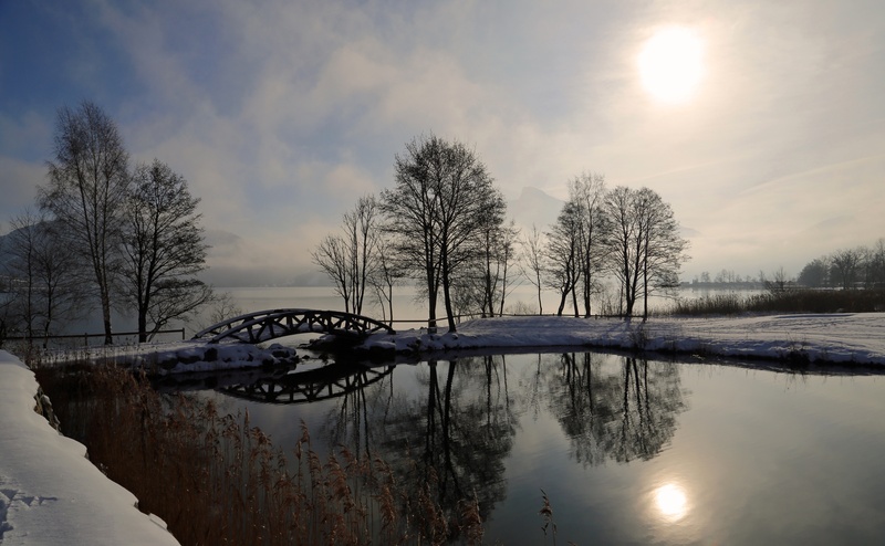 landscape, waterfront, hoarfrost, tranquility, tree trunks, peaceful, scenics - nature, abendstimmung, 5K, sparkle, evening sky, sunset, still, no people