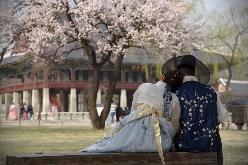 men, tree, couple - relationship, 1-85 sejongno, korea, fragility, architecture, cherry blossom, palace, outdoors, cherry tree, focus on foreground, real people