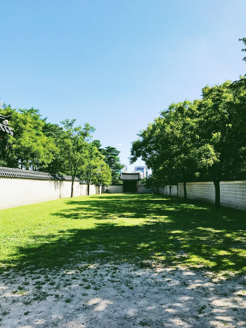 grass, beauty in nature, built structure, clear sky, no people, outdoors, tree, south korea, growth, architecture, sky, day, 4K, 1-53 sejongno, green color