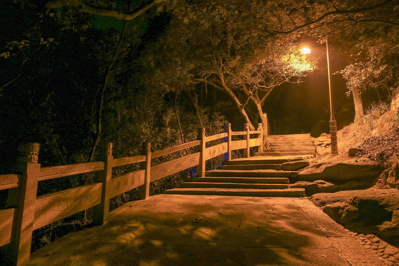 4K, bridge - man made structure, direction, plant, street, transportation, illuminated, railing, architecture, no people, the way forward, nature, bridge